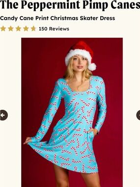 Shinesty skater dress NWT